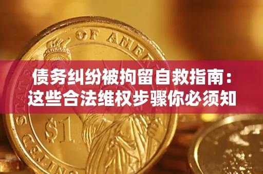 武汉债务纠纷被拘留自救指南：这些合法维权步骤你必须知道！