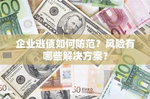 武汉企业逃债如何防范？风险有哪些解决方案？
