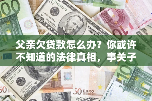 武汉父亲欠贷款怎么办？你或许不知道的法律真相，事关子女未来
