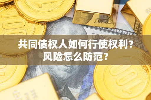 武汉共同债权人如何行使权利？风险怎么防范？