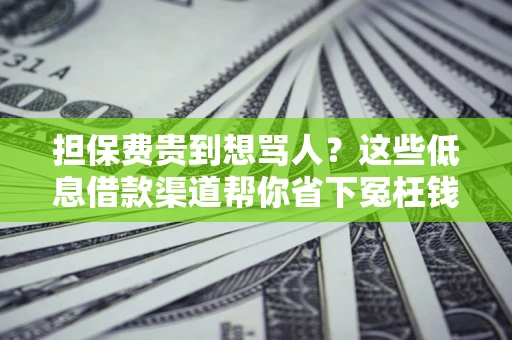 武汉担保费贵到想骂人？这些低息借款渠道帮你省下冤枉钱