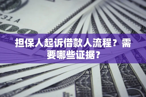 武汉担保人起诉借款人流程？需要哪些证据？