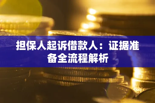武汉担保人起诉借款人：证据准备全流程解析