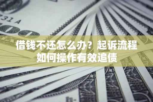 武汉借钱不还怎么办？起诉流程如何操作有效追债