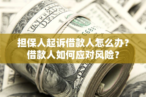 武汉担保人起诉借款人怎么办？借款人如何应对风险？