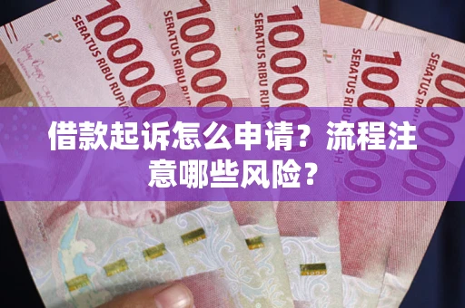 武汉借款起诉怎么申请？流程注意哪些风险？